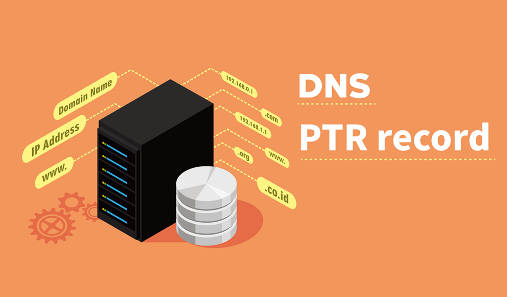 PTRレコードとは？記述用法や重要性を解説